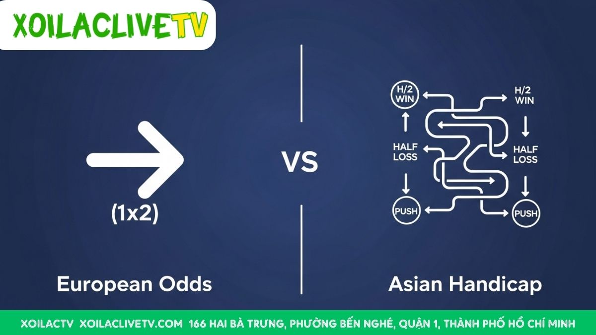 Đơn giản và phức tạp: Kèo Châu Âu dễ hiểu, trong khi Kèo Châu Á đòi hỏi sự tìm hiểu sâu hơn.