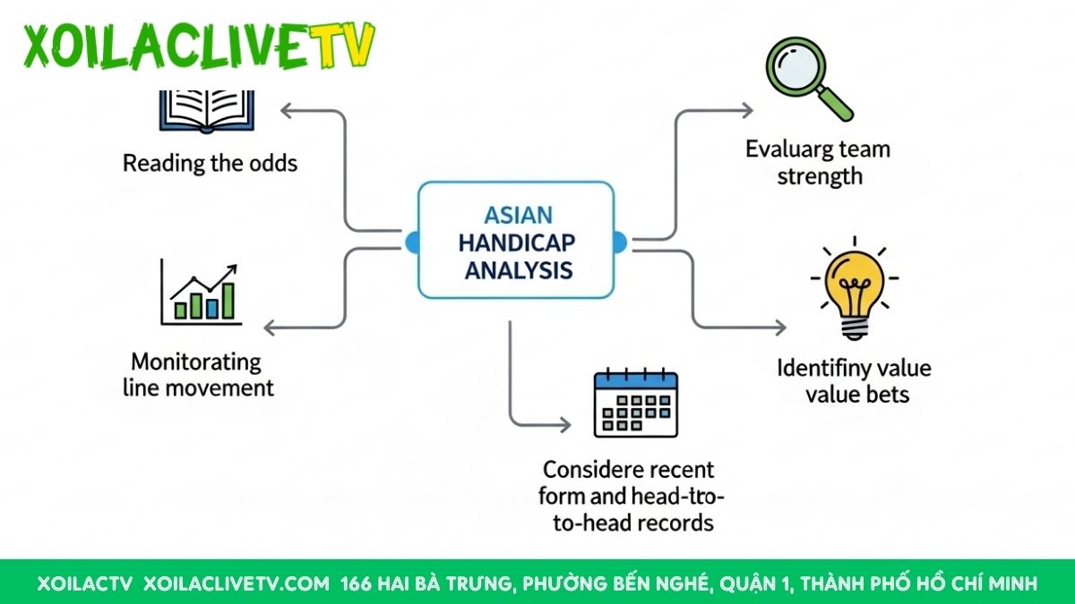 Từ cảm tính đến khoa học: Quy trình soi kèo Châu Á chuẩn mực giúp bạn đưa ra quyết định dựa trên dữ liệu, không phải cảm xúc.