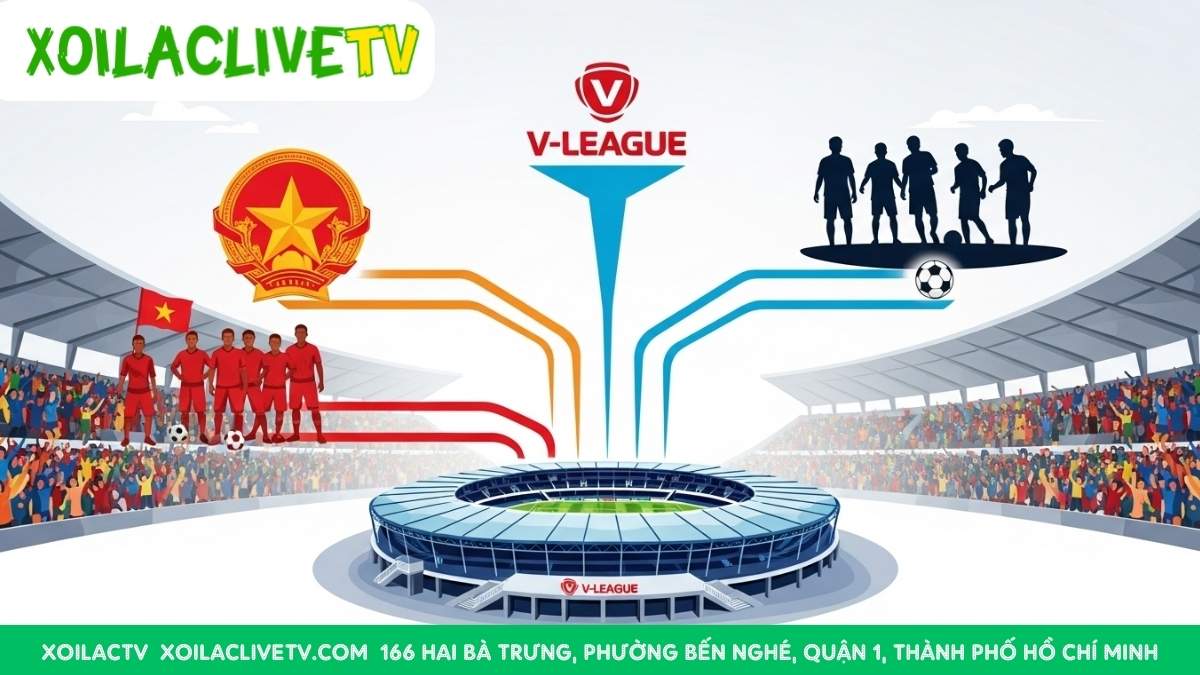 "Xương sống" của bóng đá Việt Nam: V-League là nền tảng để phát hiện và nuôi dưỡng những tài năng cho đội tuyển quốc gia.