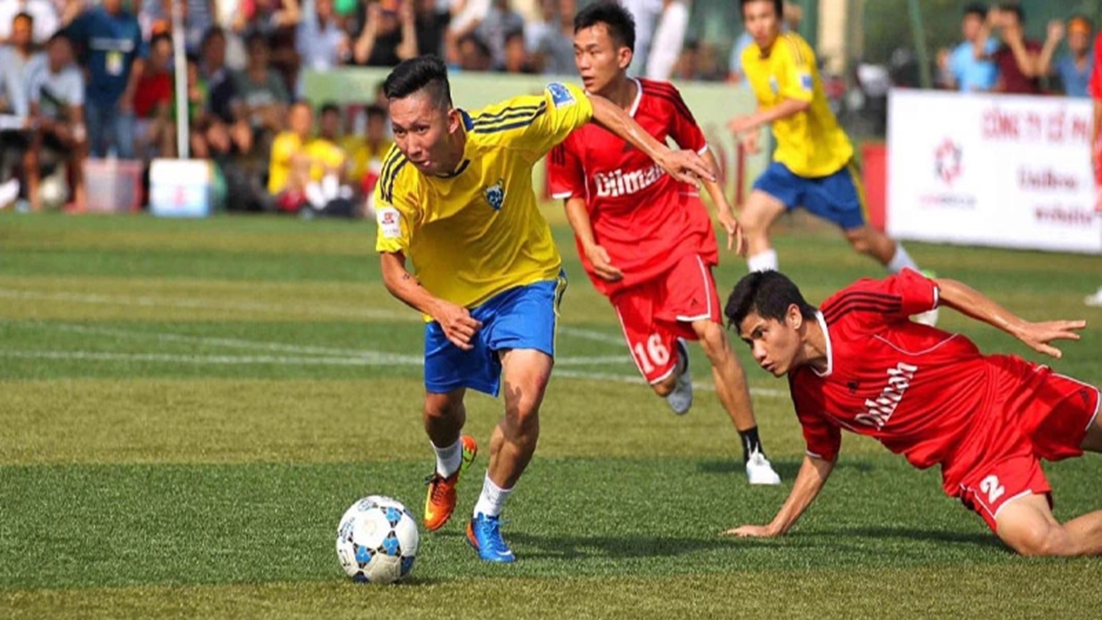 Bóng kích thước theo loại chiến đấu