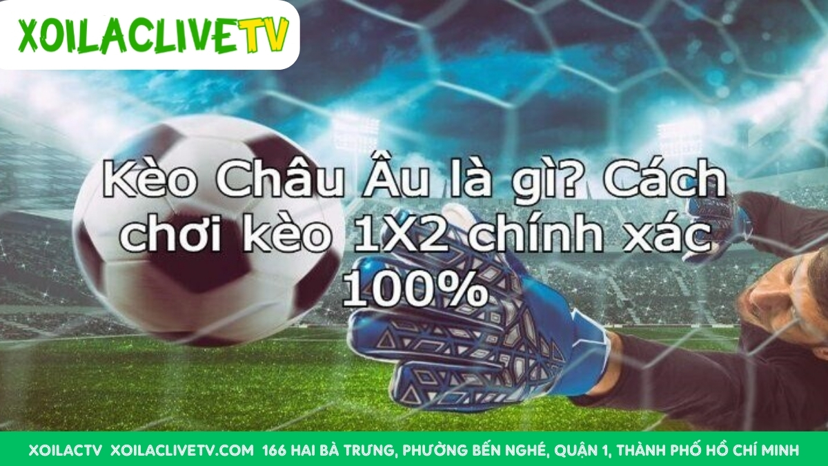 Các Yếu Tố Ảnh Hưởng Đến Tỷ Lệ Trả Thưởng Kèo Châu Âu