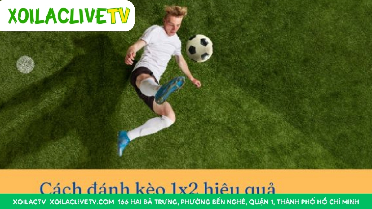 Cách Đọc Kèo 1x2 Toàn Trận Trong Cá Cược Bóng Đá
