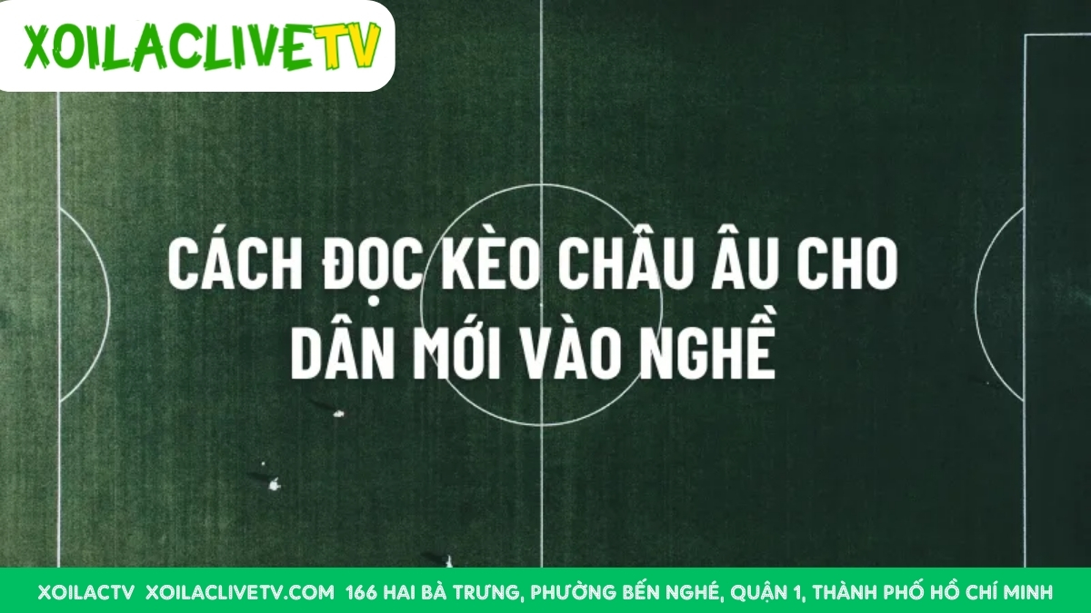 Cách Đọc Và Hiểu Kèo Châu Âu Cửa 1 Chính Xác