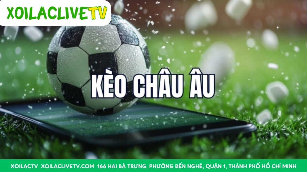 Ưu Nhược Điểm Khi Đặt Vào Cửa 2 Trong Kèo Châu Âu