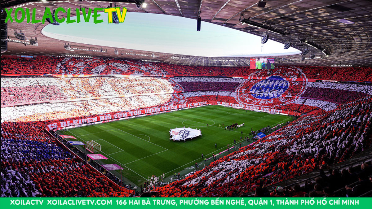 Bundesliga thành lập mục tiêu chuyên nghiệp hóa bóng đá Đức