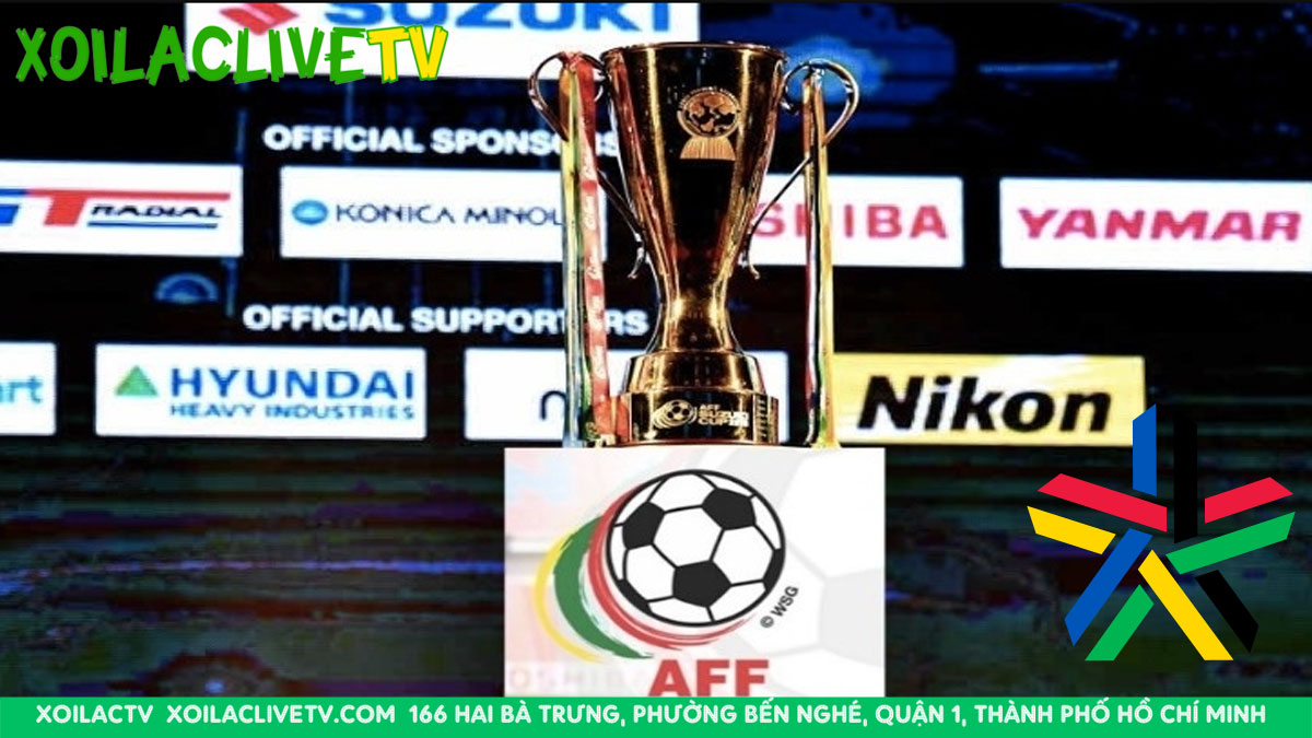 AFF Cup giải vô địch bóng đá Đông Nam Á và niềm tự hào Việt Nam