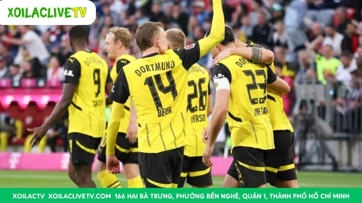 Tại pháo đài Signal Iduna Park, liệu Sư tử xứ Basque có thể chống lại sức mạnh kỷ luật của đội chủ nhà đang có phong độ cao?