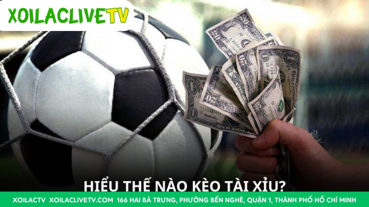 Cách Đọc Và Hiểu Kèo Tài Xỉu 1.5