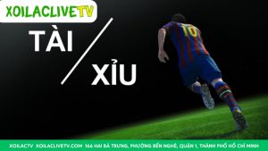Kèo Tài Xỉu (Over/Under) là gì? Khái niệm cơ bản 14