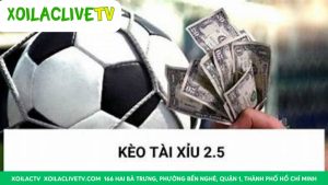Kèo Tài Xỉu 2.5 (hai trái rưỡi): Phân tích chi tiết