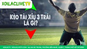 Kèo Tài Xỉu 3 (ba trái): Các trường hợp thắng thua và hòa tiền