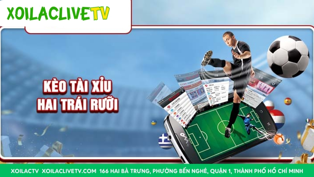 Kinh Nghiệm Đặt Kèo Tài Xỉu 2.5 Hiệu Quả