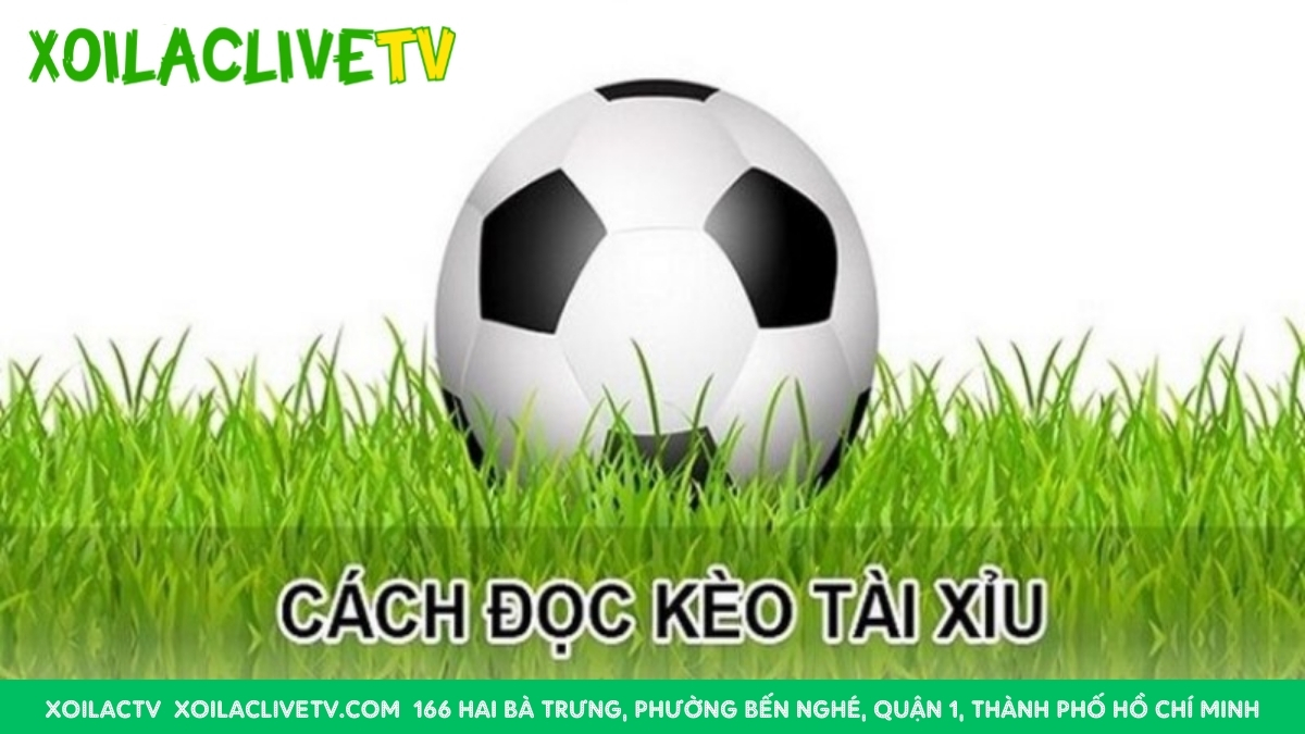 Kinh Câu Đặt Kèo Tài Xỉu Hiệu Quả