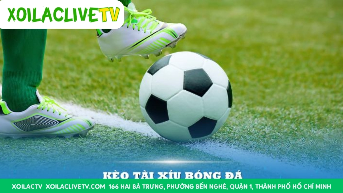 Sai Lầm Thường Gặp Khi Đọc Kèo Tài Xỉu