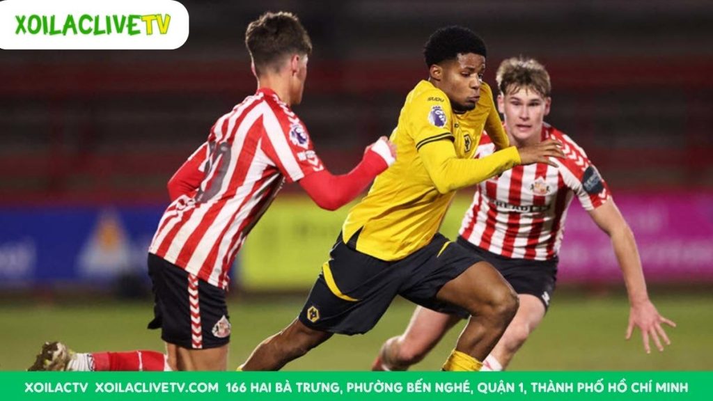 Nhận định, Soi kèo Sunderland vs Wolves (21h00 ngày 18/10): Tân binh tiếp đà thăng hoa