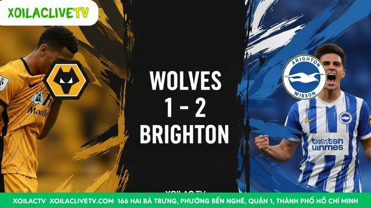 Dự đoán tỷ số trận Wolves vs Brighton từ các chuyên gia Xoilac TV: một chiến thắng kịch tính cho đội khách.