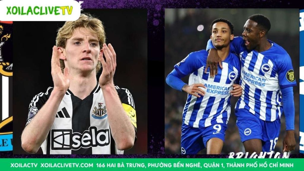 Nhận định Brighton vs Newcastle, 21h00 ngày 18/10: Đại chiến “ngựa ô”, khó phân thắng bại