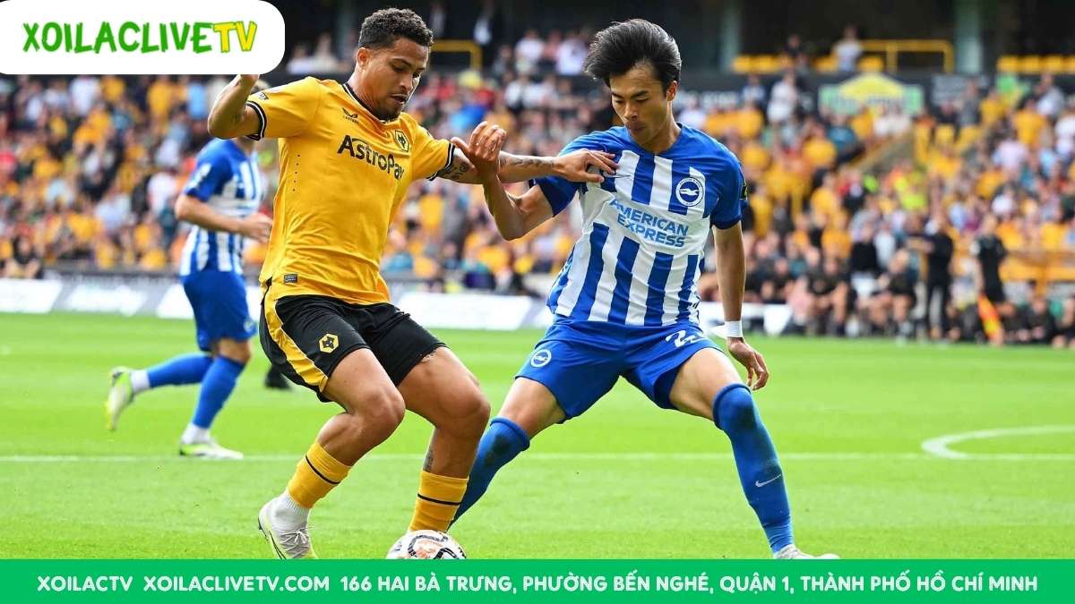 Nhận định Wolves vs Brighton, 20h00 ngày 05/10: Soi kèo, dự đoán tỷ số Ngoại hạng Anh