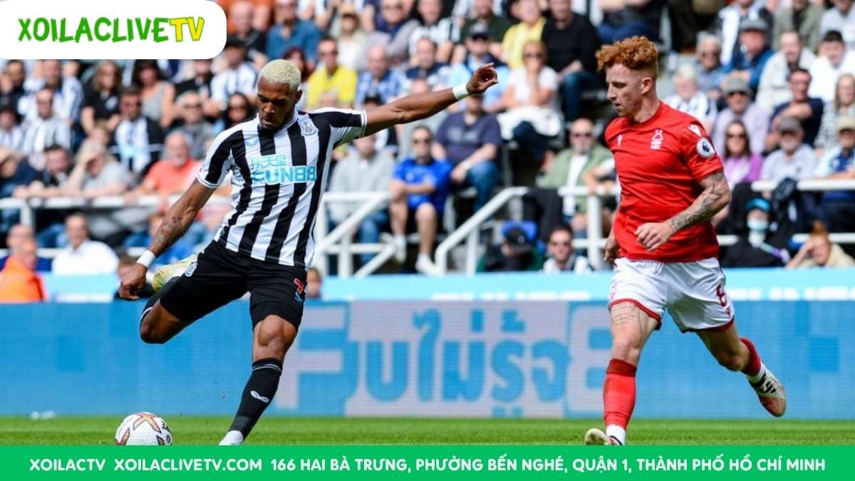 Tốc độ và kỹ thuật của Anthony Gordon là một trong những vũ khí lợi hại mà Newcastle sẽ dùng để xuyên phá hàng thủ của đội khách.